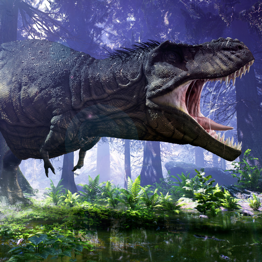 Tyrannosaurus Rex Pfp by Herschel Hoffmeyer