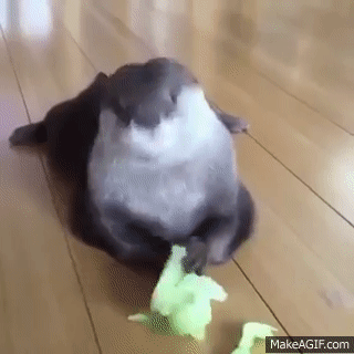 Download Otter Animal PFP