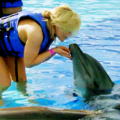 Download WWE Sports PFP