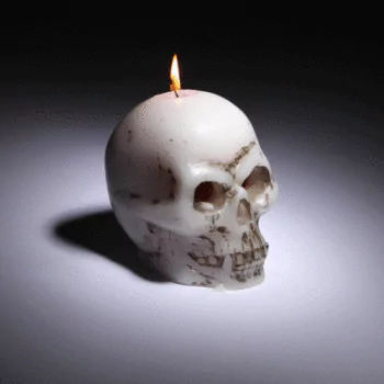 skull flame fire candle photography PFP
