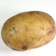 Potato Pfp
