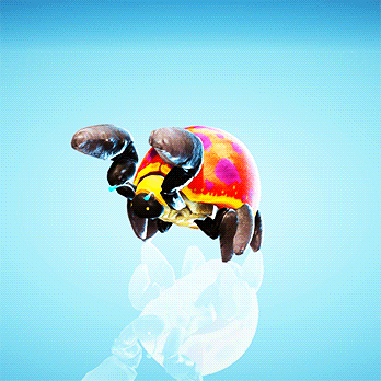 Download Fantasy Black Desert Online Video Game PFP