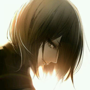 Profile photo of Mikasa Ackerman from the anime Attack on Titan, depicted in a soft, glowing side profile with a contemplative expression.