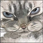  Sassy Cat