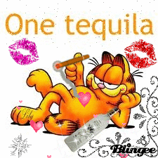 Download Humor Cartoon Cat Garfield Comic PFP