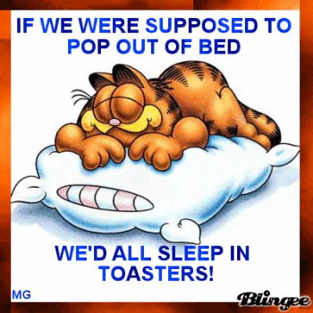humor cartoon cat Garfield Comic PFP