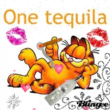 humor cartoon cat Garfield Comic PFP