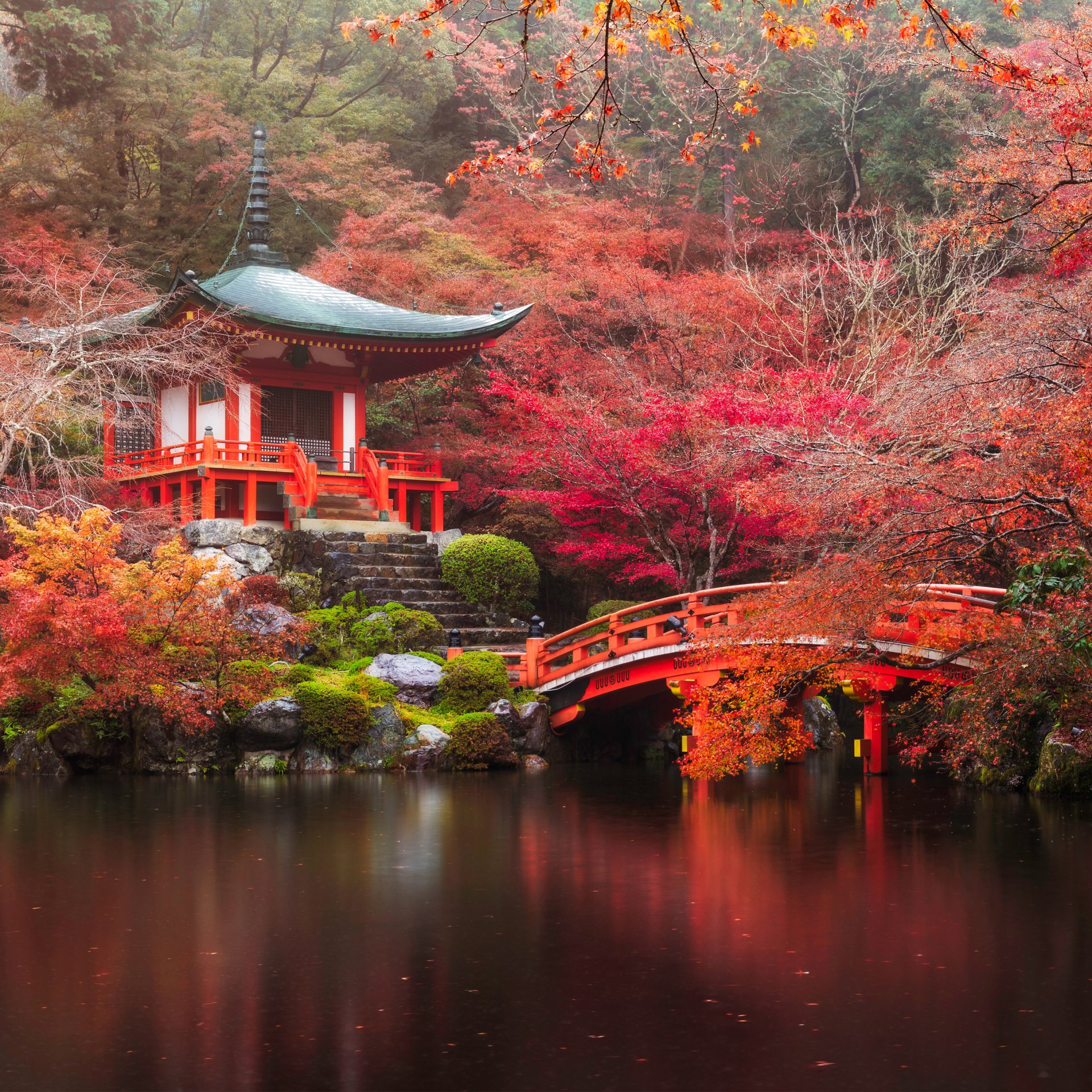 Download Nature Tree Kyoto Pond Bridge Pagoda Park Fall Japan Religious 