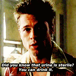 Brad Pitt Fight Club movie PFP