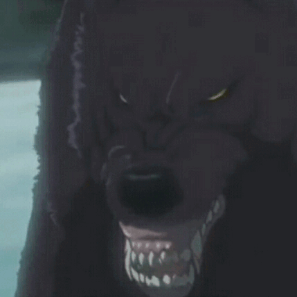 Download Wolf's Rain Anime PFP