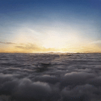 Download Hard Rock Rock (Music) Classic Rock Pink Floyd Music PFP