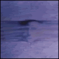 Download Hard Rock Rock (Music) Classic Rock Pink Floyd Music PFP