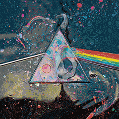 Download Hard Rock Rock (Music) Classic Rock Pink Floyd Music PFP