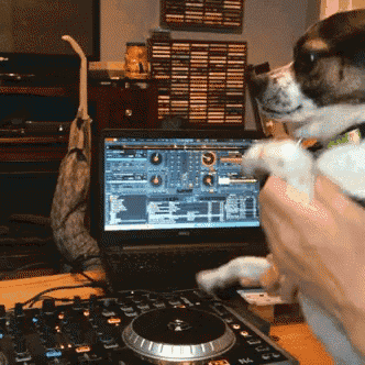 Download EDM Electronic Music Music DJ PFP