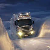 vehicle Truck PFP