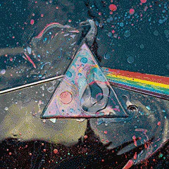 hard rock Rock (Music) classic rock Pink Floyd music PFP