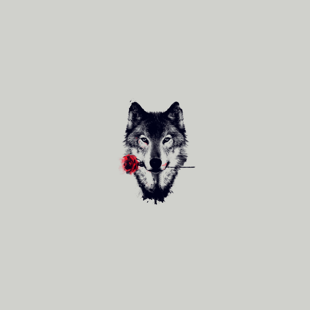 Wolf with Rose