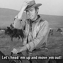 Download Clint Eastwood Western Rawhide TV Show PFP