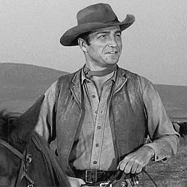 Download Western Rawhide TV Show PFP