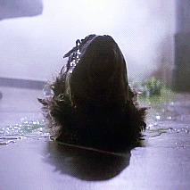 Download Horror The Thing (1982) Movie PFP