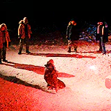horror The Thing (1982) movie PFP