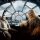 Chewbacca