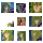 Saint Seiya