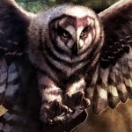 A striking profile image of a majestic owl in flight, blending themes of wildlife and fantasy, featured prominently in the context of Magic: The Gathering.