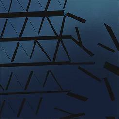 From the New World Anime PFP