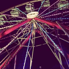 Ferris Wheel Pfp