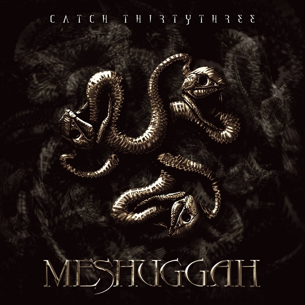 Download Heavy Metal Death Metal Meshuggah Music PFP