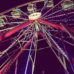 amusement park ferris wheel man made PFP