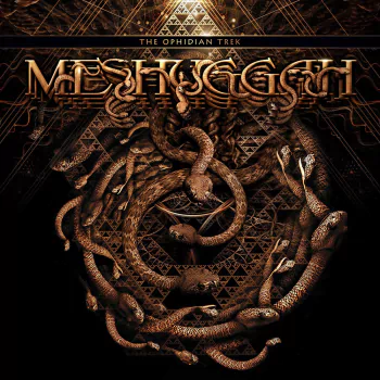 heavy metal death metal Meshuggah music PFP