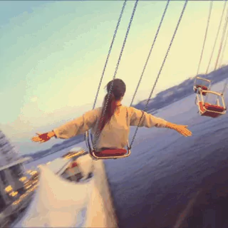amusement park man made PFP