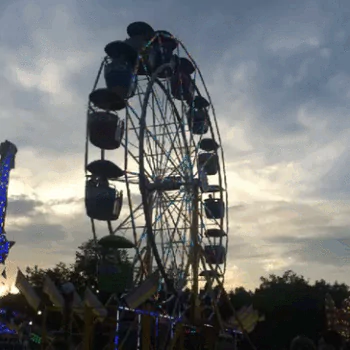 ferris wheel amusement park man made PFP