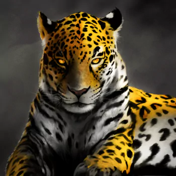  Jaguar by Samuel Johnson