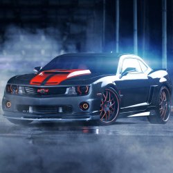 Download Muscle Car Car Chevrolet Chevrolet Camaro Vehicle PFP