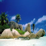 nature beach PFP