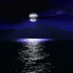 nature water PFP