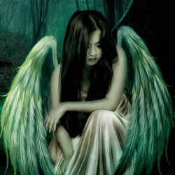 Download Gothic Wings Angel Fantasy PFP
