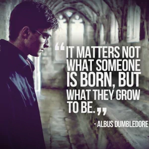 Daniel Radcliffe movie Harry Potter PFP