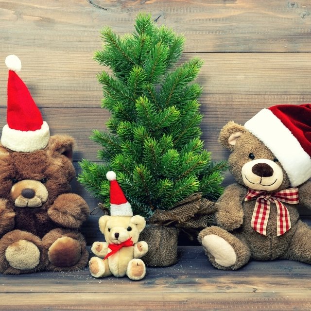 Download Santa Hat Christmas Teddy Bear Toy Stuffed Animal Holiday PFP