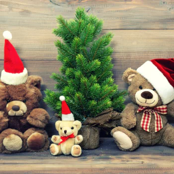 santa hat Christmas teddy bear toy stuffed animal holiday PFP