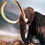  Woolly Mammoth