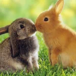  Best Friends