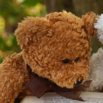  Teddy Bears Reading a Book by Mabel Amber