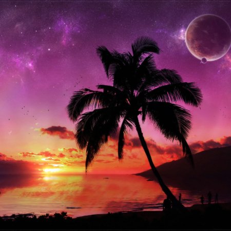 Profile avatar: silhouetted palm tree on an ocean shore at a vibrant sci-fi sunrise, purple-pink sky with a distant planet.
