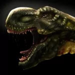  Rex