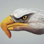 hand eagle bird Animal artistic PFP