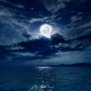 nature moon PFP